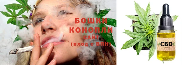 спайс Лагань