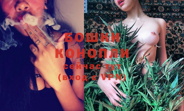 спайс Лагань
