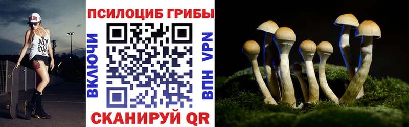 Псилоцибиновые грибы Psilocybine cubensis  Купить закладки  Луза 
